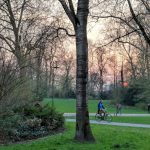 People biking in a lush park at dusk