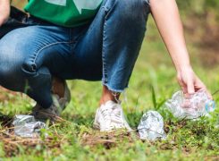 Clean Walks Update