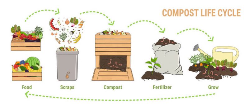 compost-life-cycle