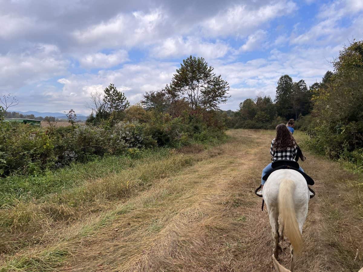 Horse Back Riding with Jane Moss - Image 2