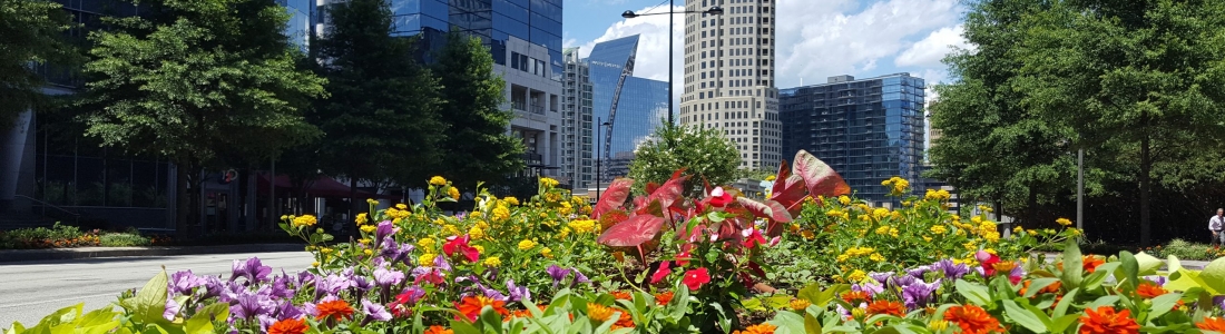 Buckhead Community Improvement District – The Year of Construction Begins