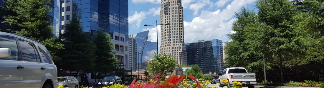 Buckhead: Where Sustainability, Mobility, and Community Flourish for Residents and Businesses Alike