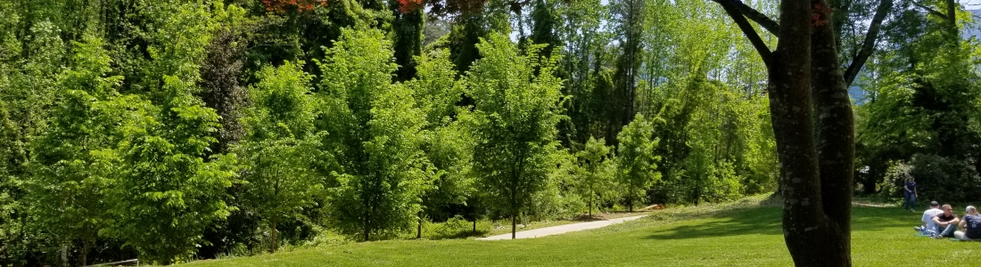 8 Days of Sustainability: Parks and Sustainability