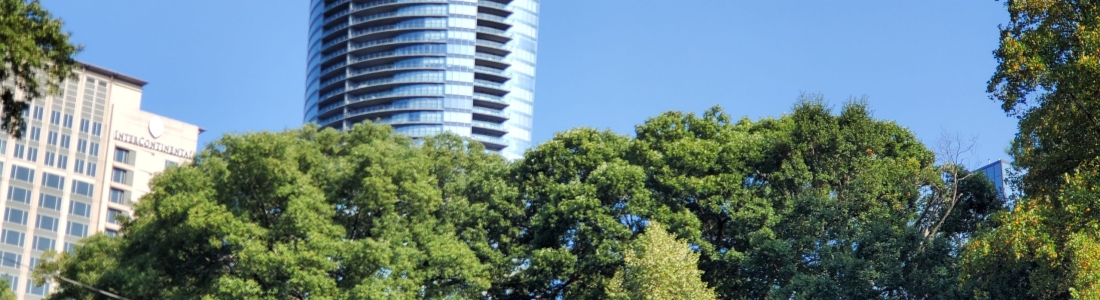 Embracing Sustainability: Growing a Greener Buckhead