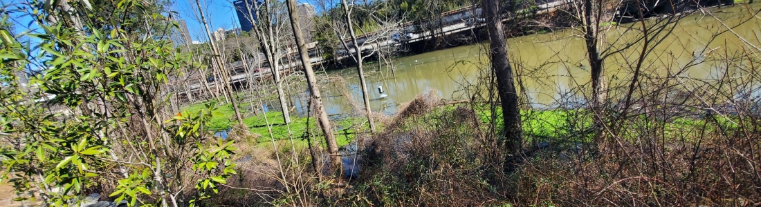 What’s in the PATH400 Pond?