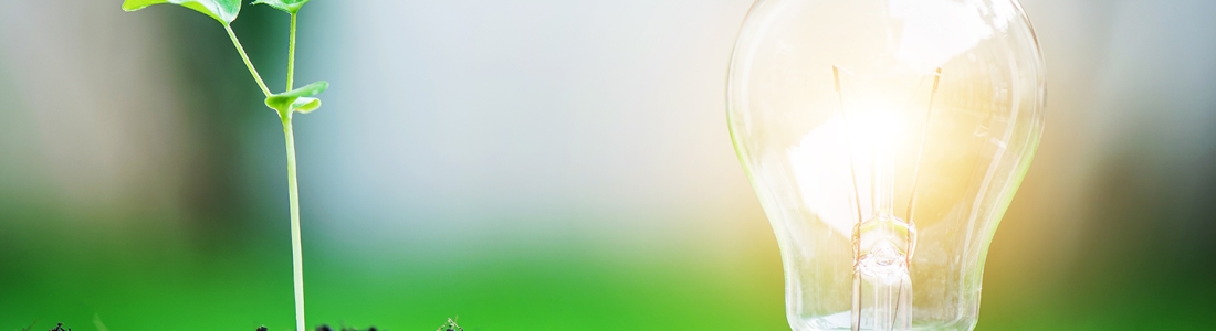 How to Shop For More Efficient Lightbulb Replacements