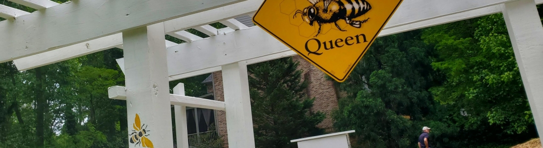 Buckhead’s Newest Neighbors Have Arrived