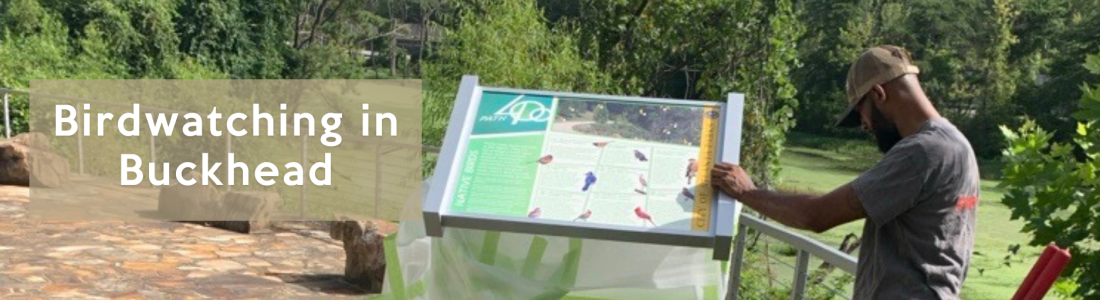 Discover the Birds of PATH400: A New Sign Unveiled