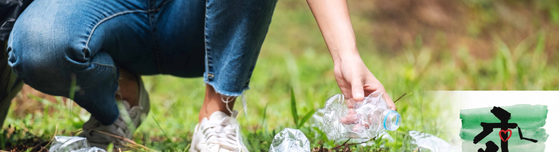 Clean Walks: Guess What We Found?