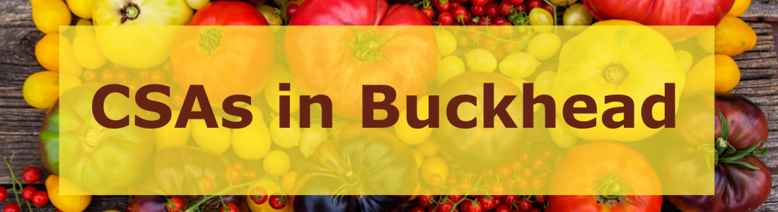 Tomato Triumph: Embrace CSAs for Freshness and Sustainability