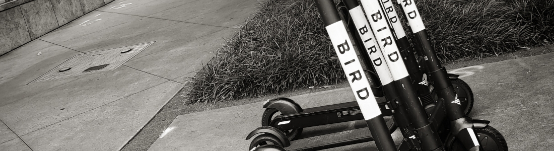 Scooter Safety Culture