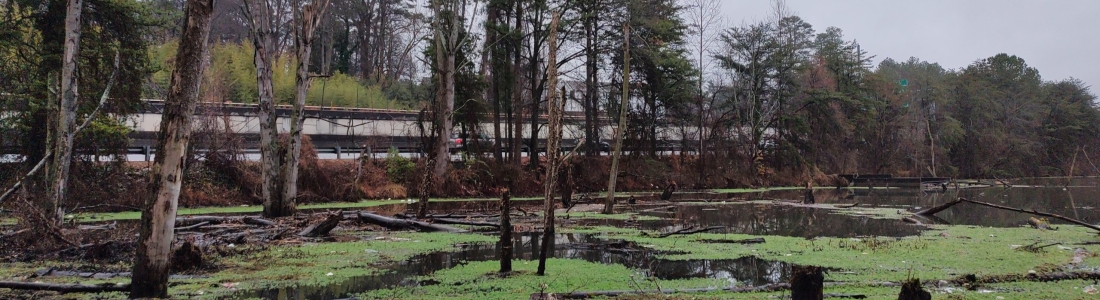 2025 PATH400 Pond Cleanup