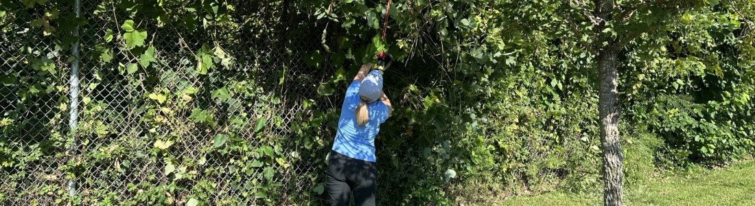 Restoring Atlanta’s Green Spaces: A Community Effort