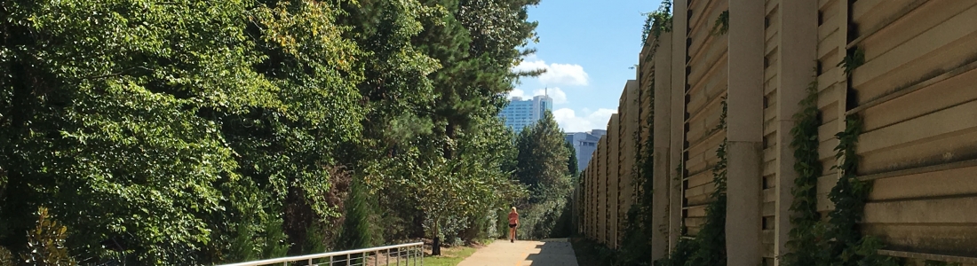 Intern’s Corner: PATH400