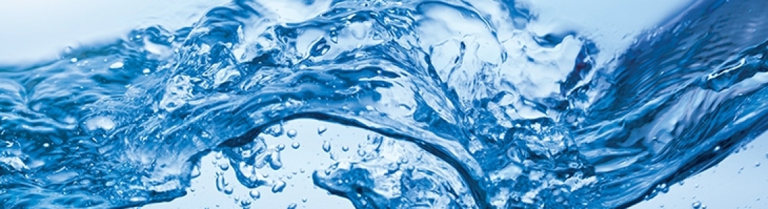 Be a Steward of Your Watershed