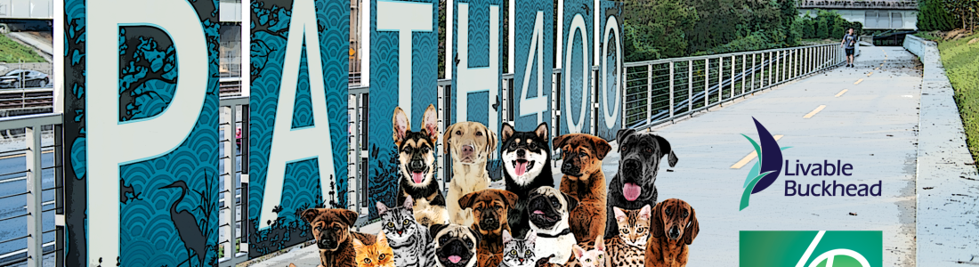 Why Is My Dog Breathing Fast on PATH400?