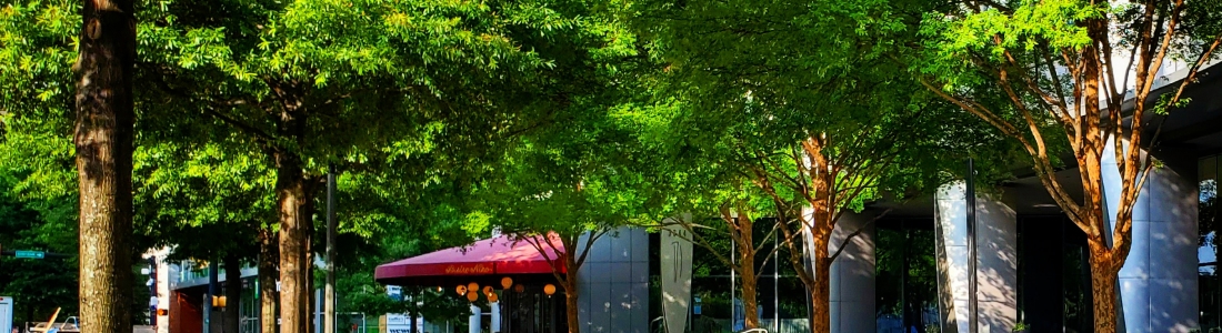 Tree Ordinance Discussion Bears Fruit