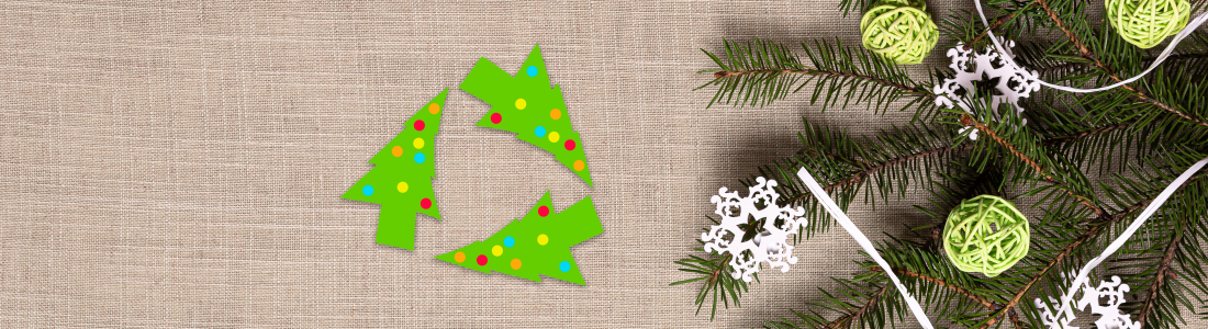 What Can I Do With My Tree After the Holidays? Keep Your Tree Evergreen
